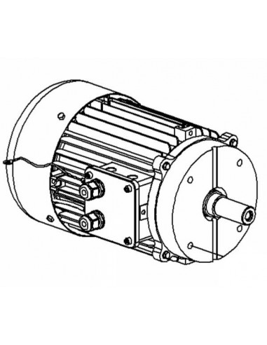 Motor Medoc BGR freno III 230-400 V. 50 HZ. 3 CV. 300 33415