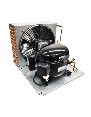 Unidad Condensadora 1HP con deshidratador RT NT6220Z R134a 220V 50Hz