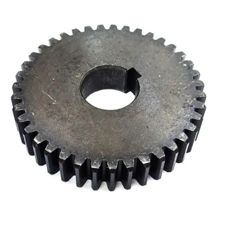 Engrenagem de metal Espremedor de laranjas Succo 39 dentes Ø29,5mm Ø102mm H20mm