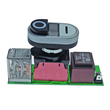 Placa Relé 230V modelo TG00LED Taglioretti FAC ,MISTRO ,NOAW ,OMS ,RHENINGHAUS,FAMA