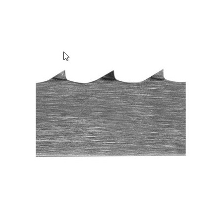 Boîte de 4 Lames de Scie Congelée