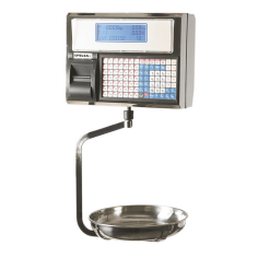 Epelsa Jupiter Scale 22V10