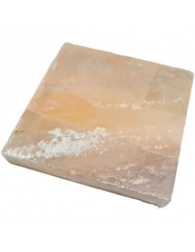 Bloque de sal Himalaya para madurador de carne RTB-480B 200x200x30mm 12236057