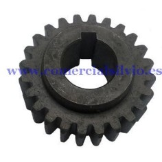 Engrenage 16 Pétrin B20F B10 Ø45mm Ø16,5mm H18mm 24 dents