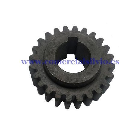 Engranaje 16 Amasadora B20F B10 Ø45mm Ø16,5mm H18mm 24 dientes