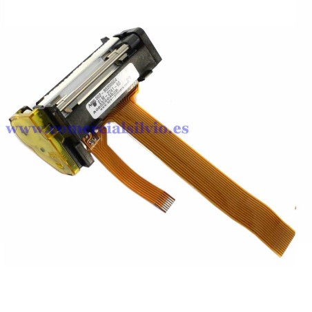 Impressora Térmica Balança MAXIMA ELM-2241-60 49D240101022