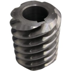 Espiral Motor Cortadora Boston FIA 30 dientes