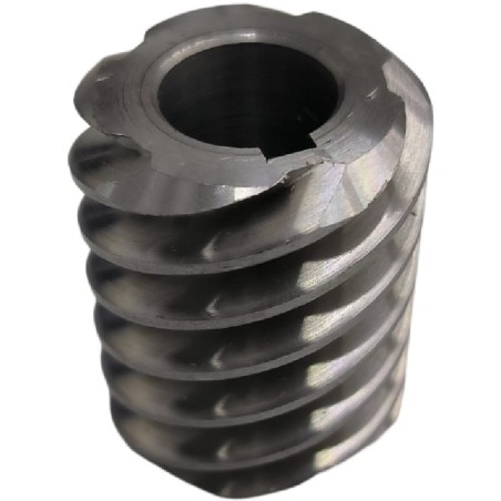 Espiral Motor Cortadora Boston FIA Berkel 30 dientes