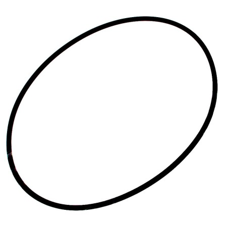 Minerva CE INS40 Embedding O-Ring Ø291mm Ø7mm