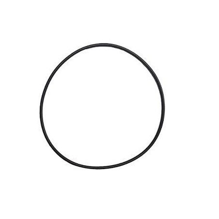 Junta Pistão Embutidora SF-350 CR Star 285x5,7mm ØExterior 285mm Espessura 5,7mm despiece número 23