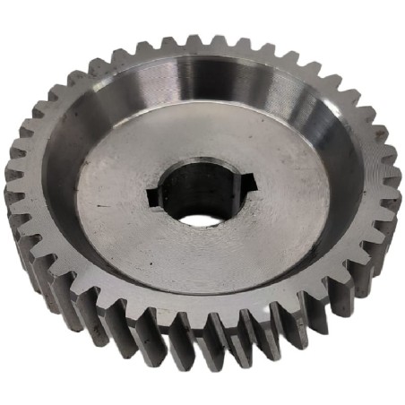 Engranaje Metal Picadora TK-22 Despiece 20 TK-F20a-15