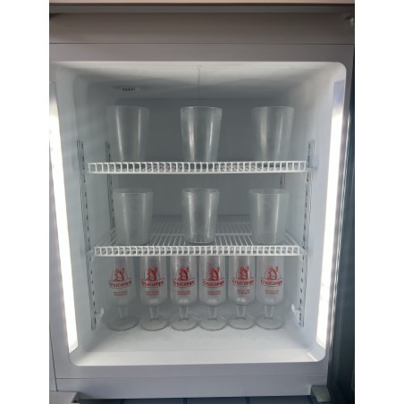 SD-100 Display Freezer Cabinet