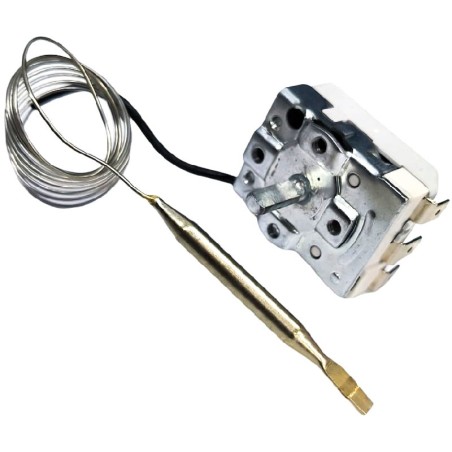 Thermostat T max 220°C marge de travail 50-220°C NT-293 K0 Tecasa