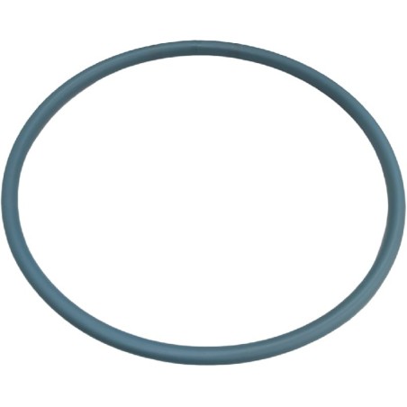 Talsa H26P Old Injector Lid Joint ØExterior 306x12mm Green Silicone Round Profile 7046