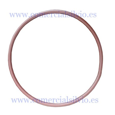 Sealing gasket for Mainca EM-20 stuffer lid 4EM42111