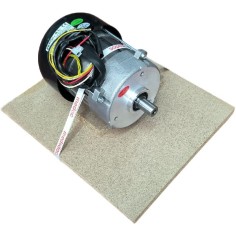 Motor Serra Medoc BG-200 SF 1CV III 230-400V 50H IP20 D.20 com grupo parafuso 32941 35040