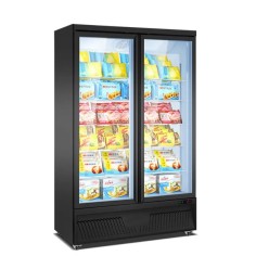 Freezing cabinet model BDG1250-2M