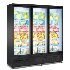 Freezer cabinet model BDG1880-3M