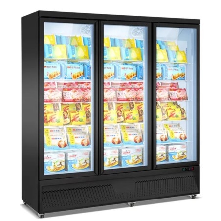 Freezer cabinet model BDG1880-3M