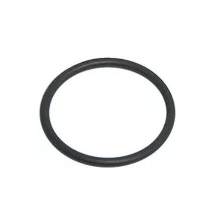 junta tórica EPDM espesor 2mm int.ø 21mm UE 1 pzs VPE 1 Stück 100809