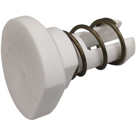 Pressure valve and spring for Mainca TP5 TP10 TP15 6TPF20630