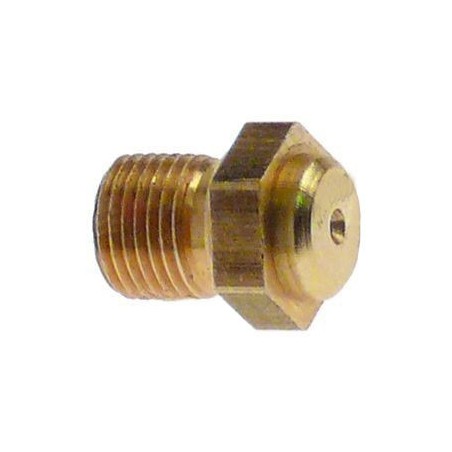 Inyector rosca M8x0,75mm Taladro 0,70mm Tamaño de Llave 10mm  Turhan Ozti