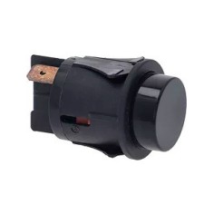 mounting pushbutton ø 25mm black 2NO 250V 16A Faston connector splice