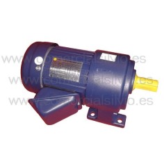 Motor Redutor espremedor Eutron 923002 GV120B