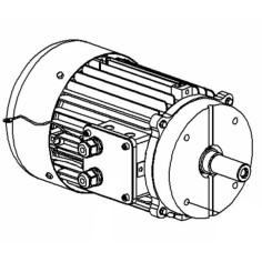 Moteur main gauche Medoc BGR frein III 230-400 V. 50 HZ. 3 CV. 300 33415 + vis moteur filetage droit 35041-I