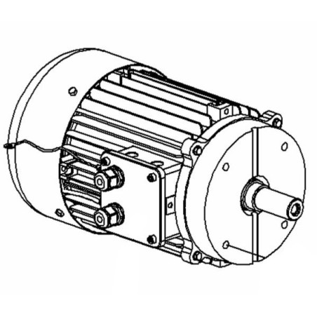 Left hand motor Medoc BGR brake III 230-400 V. 50 HZ. 3 HP. 300 33415 + right thread motor screw 35041-I
