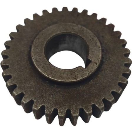 Engrenage Pétrin B20A B20F B10 33 dents Ø61mm Ø19mm H16mm