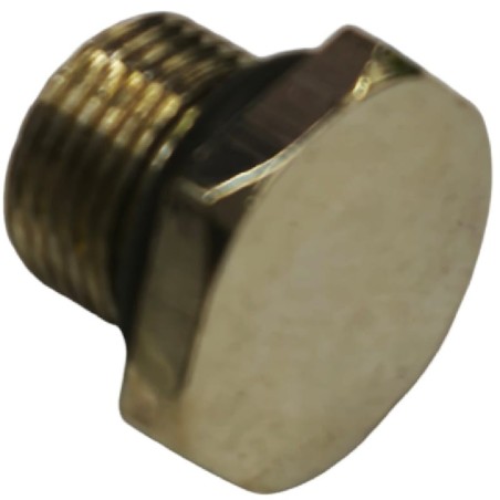 Tapón tornillo picadora de carne TS 22 Fama F2195 despiece 22