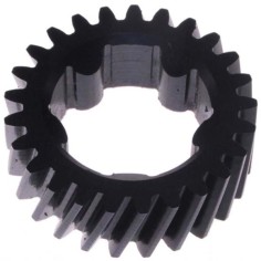 Engranaje Nylon 25 dientes Atoma Fia Boston ATLAS ,BERKEL 835,FIA BOSTON