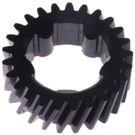 Engranaje Nylon 25 dientes Atoma Fia Boston ATLAS ,BERKEL 835,FIA BOSTON