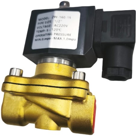Solenoid Valve NC 2W-160-15 220VAC