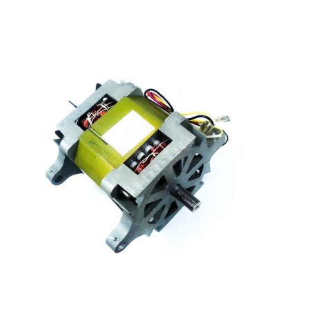 HBS-350 Cutter Motor YY13565 230V 100W 2.5A 1400 r.p.m.