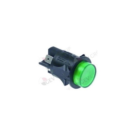 25mm green pushbutton switch 2NO 250V 16A illuminated with Faston 6.3mm connector splice
