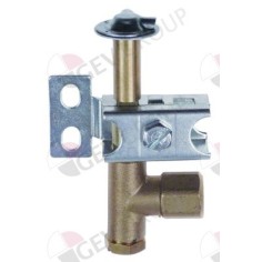 PRO-GAS series 100 ignition pilot 2 flames nozzle ø 0.2mm