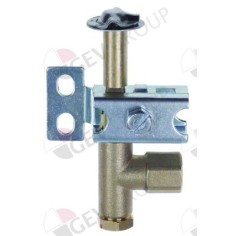 PRO-GAS 100 ignition pilot 3 flames nozzle ø 0.2mm Gasco