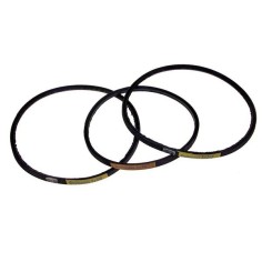 Correia Cortadora Berkel 800 Jogo 3 unidades 5x287mm 5x345mm