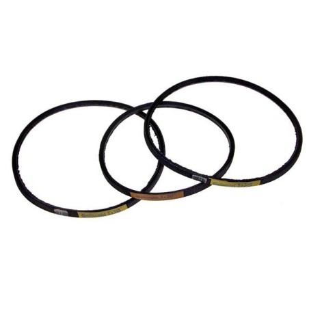 Correia Cortadora Berkel 800 Jogo 3 unidades 5x287mm 5x345mm