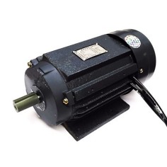 Moteur de tondeuse HB-320 YL6332 370W 3A 2800 T/min 220V 50Hz