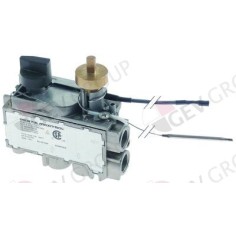 thermostat à gaz MERTIK type GV31T-C1A7AGK0-003 T max 340°C 100