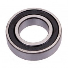 Frucosol F50 Extractor Shaft Bearing F50-049x10