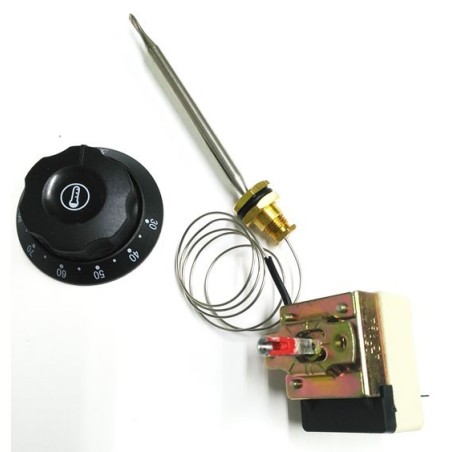 thermostat T max 85°C marge de travail 30-85°C 1 pôles 1NO 0,5A sonde ø 6mm sonde L 100mm presse-étoupe de cuve
