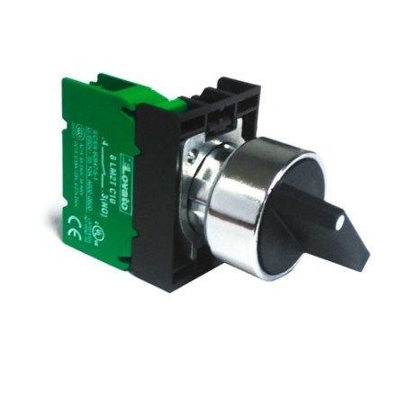 Interrupteur complet Lovato 8 LM2T C10 Campeona 346777 301170 346782