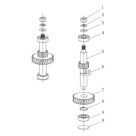 Eje Engranaje Amasadora M20A  Despiece 5 Z16