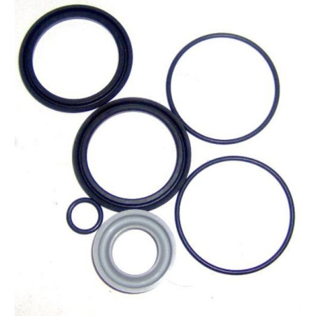 Kit de Juntas Cilindro Orved Compacto. D.80 OR0971 PNEUMAX RG1500/0007