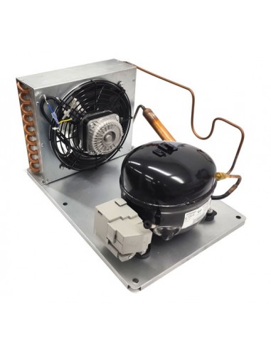 Unidad Condensadora 1/4HP con deshidratador RT EMT65HLR R134a 220V 50Hz